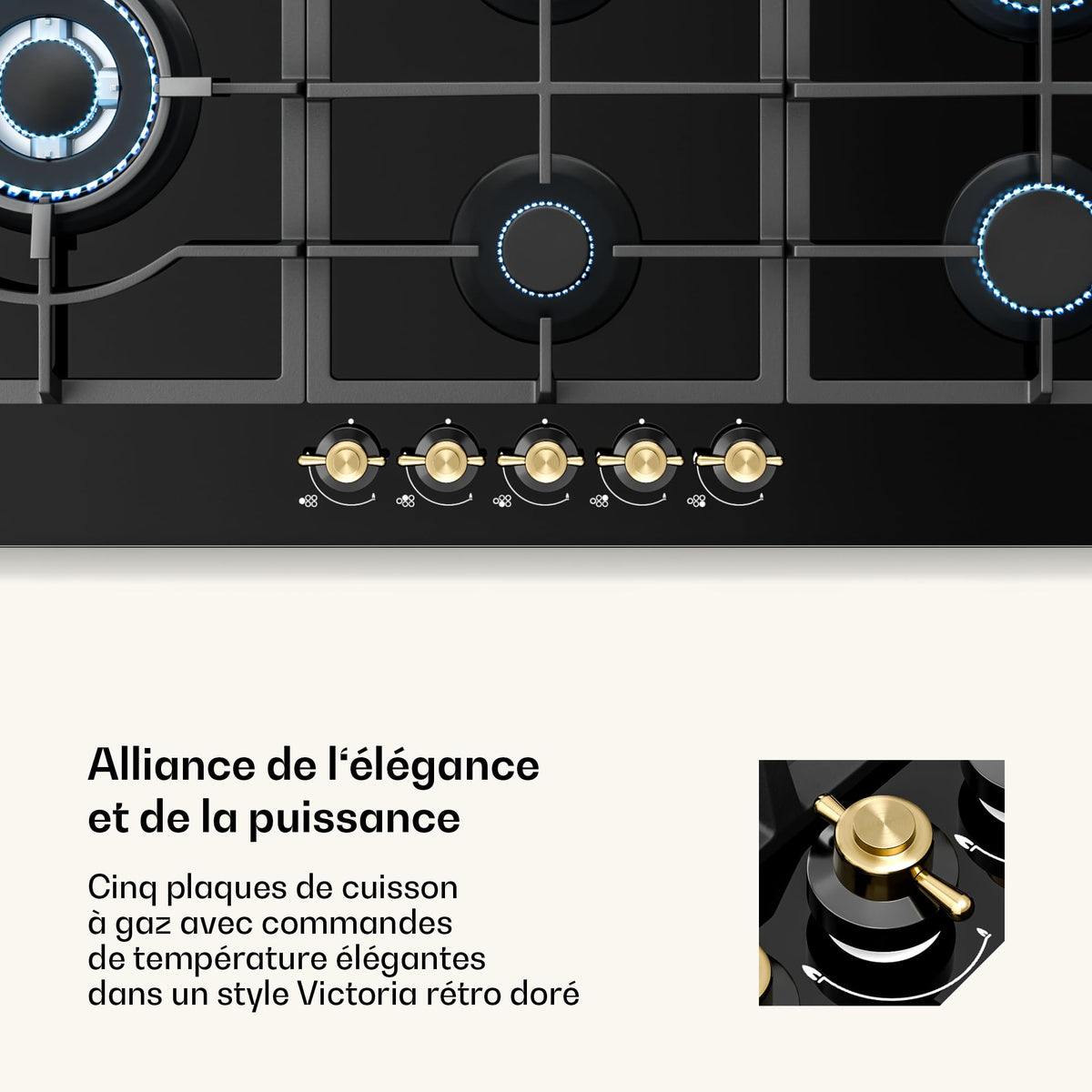 Klarstein Table de Cuisson à Gaz avec 5 Brûleurs – Plaque de Cuisson Encastrable 11100W, Surface en Acier Inoxydable, Compatible GPL