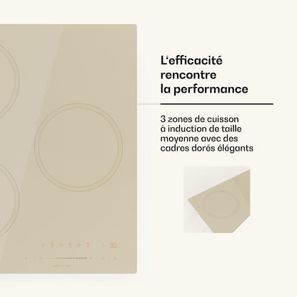 Klarstein Victoria Plaque À Induction Encastrable - 3 Zones, 6600 W Avec Boosters, Commande Tactile À Curseur, Minuterie & Verrouillage Parental, Vitr