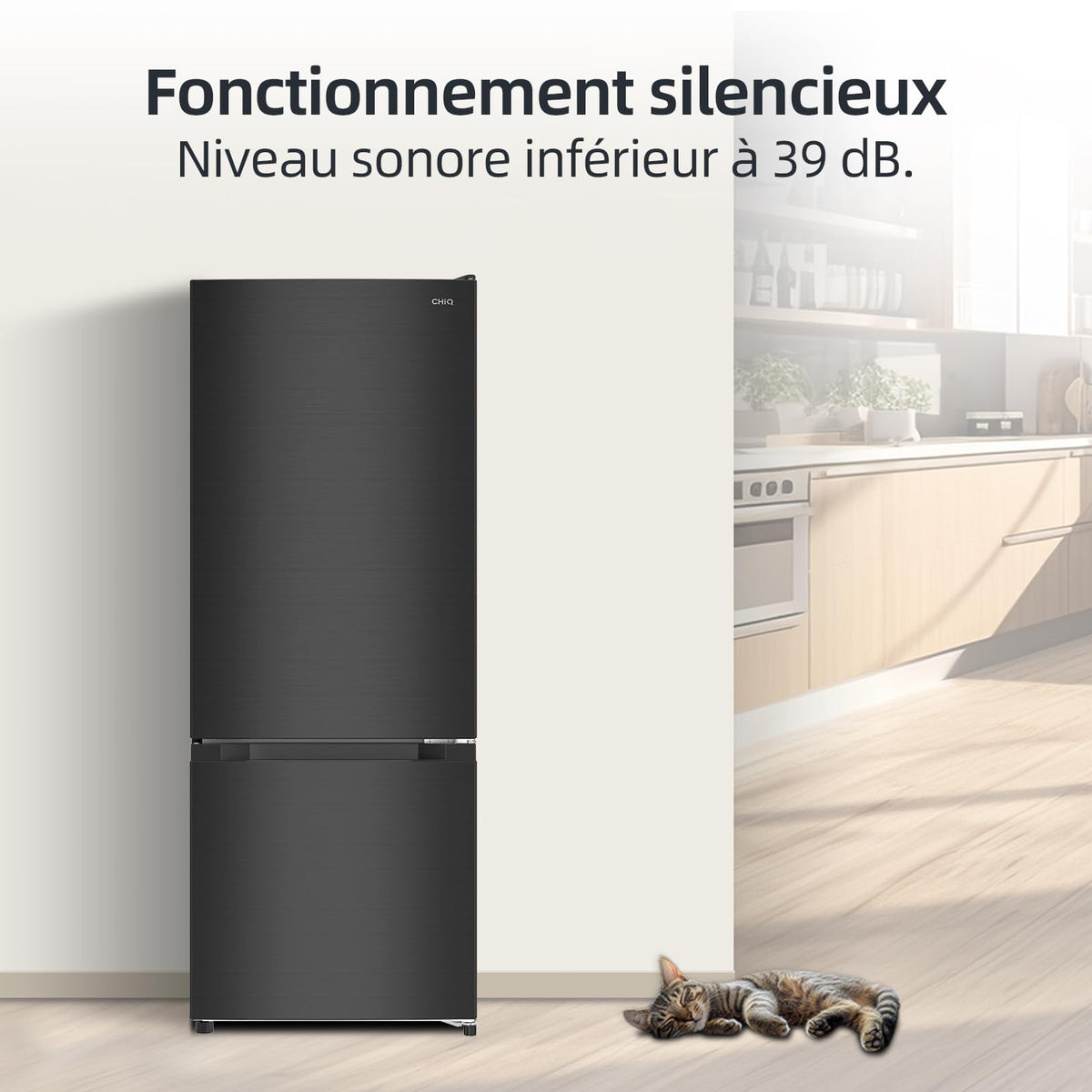 CHIQ Réfrigérateur congélateur FBM205L42-205L (153 + 52),Classe énergétique E, 39 dB, Acier noir, Low frost, Portes réversibles