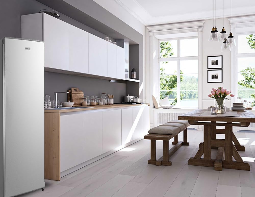FrigeluX Réfrigérateur Armoire Look Inox RA235XE 230 litres