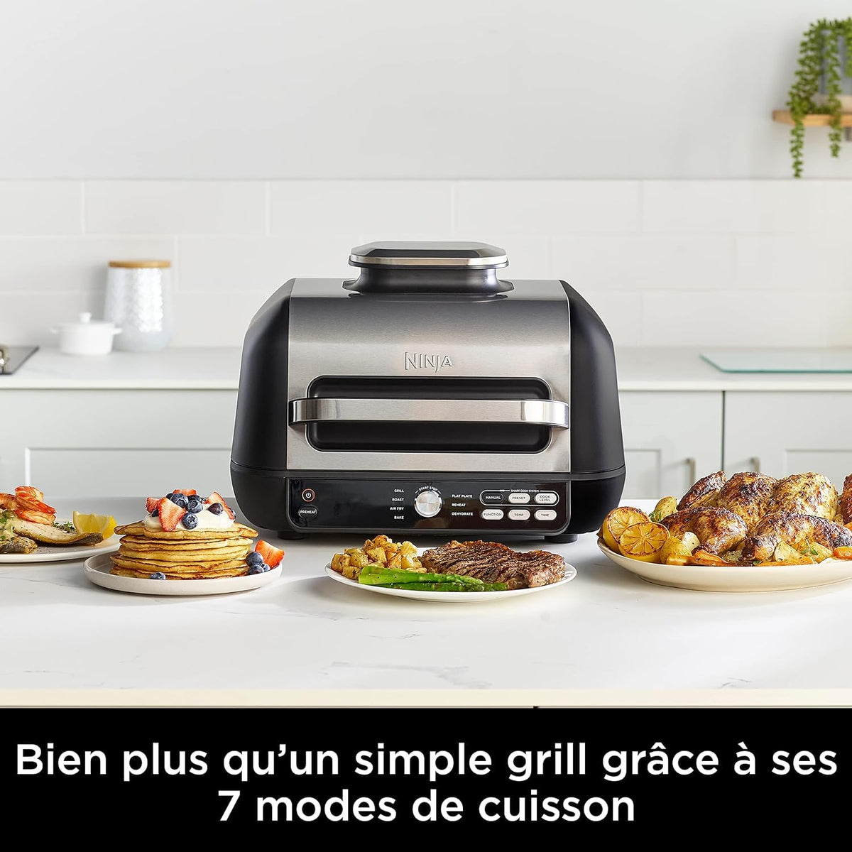 Ninja Foodi MAX PRO Grill, Plancha et Friteuse à air avec sonde de cuisson numérique, 3,8L, 7 en 1, Grill, Air Fryer, Cuire, Rôtir et plus, Pièces lavables au lave-vaisselle, Argent/Noir AG651EU