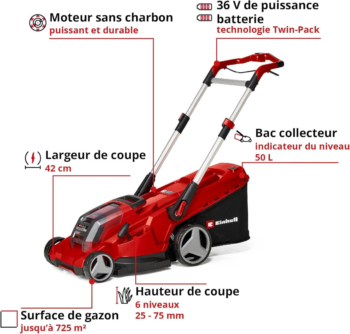Einhell Professional Tondeuse à gazon sans fil RASARRO 36/42 Kit Power X-Change (36V, largeur de coupe: 42 cm, Bac 50L, moteur sans charbon) Livré avec 2 Batteries 5,2 Ah + Chargeur double