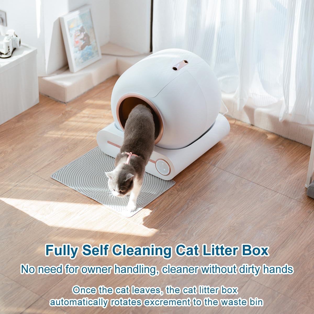 Megonia Litière Autonettoyante Chat Automatique: 2.4GHz WiFi Con App Contrôle à Distance 65L Grande Capacité Anti-Pincement/Fuites/Odeur pour Famille