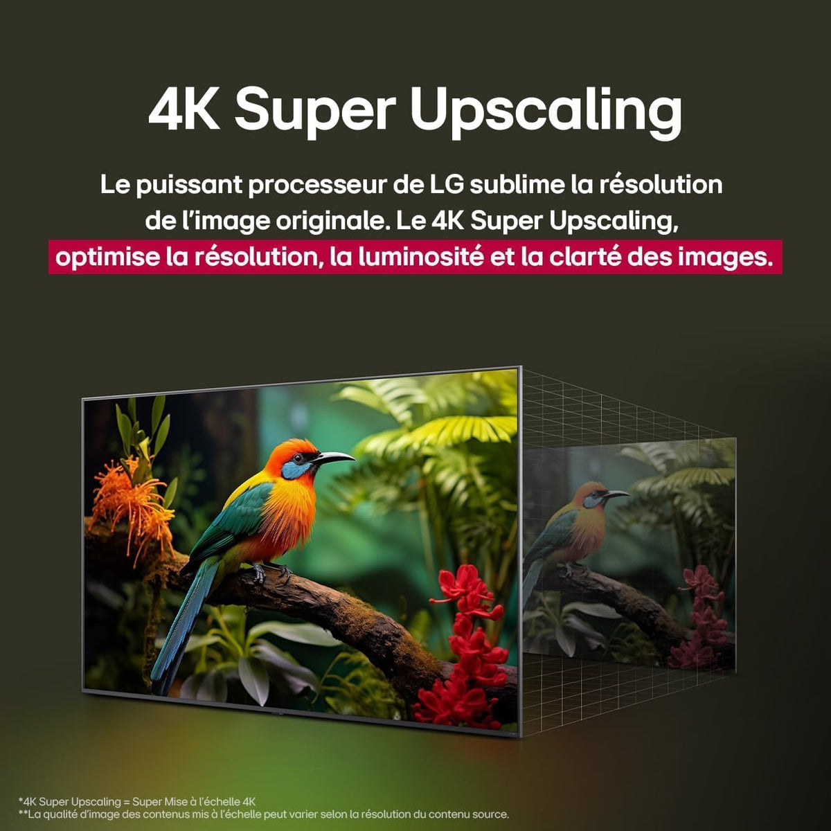 LG TV NANOCELL AI 2025 | 43NANO90| 43'' (108cm) | 4K UHD | HDR10 |webOS 25 | Télécommade AI Magic Remote | Alexa, Google Assistant | Netflix Disney+ Canal+ Prime Video | AirPlay 2 | Couleurs Pures