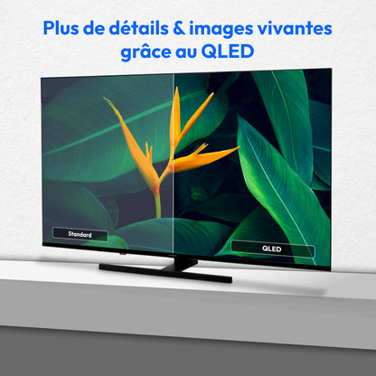 MEDION Téléviseur 55 Pouces 4k (138,8 cm) QLED Television (Fire TV, Smart, Dolby Vision HDR, Dolby Atmos, Prime Video, Bluetooth, DVB-T2, MD 855800)