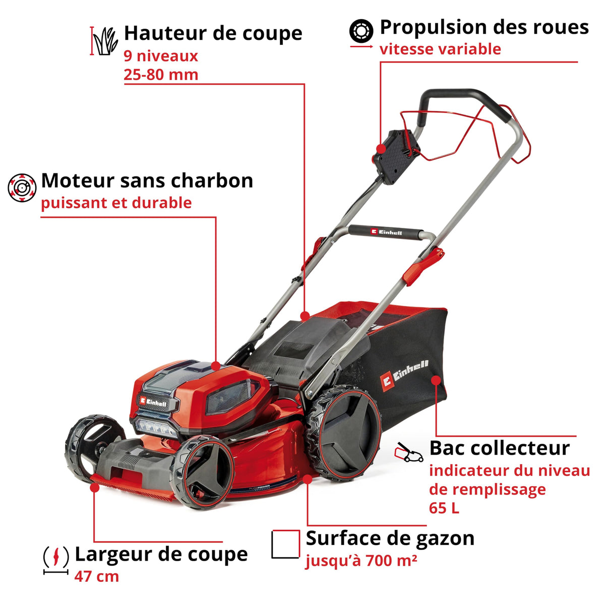 Einhell Professional Tondeuse à gazon sans fil GP-CM 36/47S Li BL (4x4,0Ah) Power X-Change (36V, moteur Brushless, Coupe à 47cm, Bac de 65L) Livré avec 4 Batteries 4,0Ah et 2 Chargeurs doubles