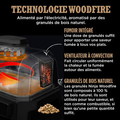 Ninja Woodfire Pro Connect XL Barbecue Électrique & Fumoir avec Contrôle d'Application, 2 Sondes, Grille, Housse, Revêtements & Brosse, Grill & Friteuse sans huile 7-en-1, Bleu & Noir OG901EUAMZ