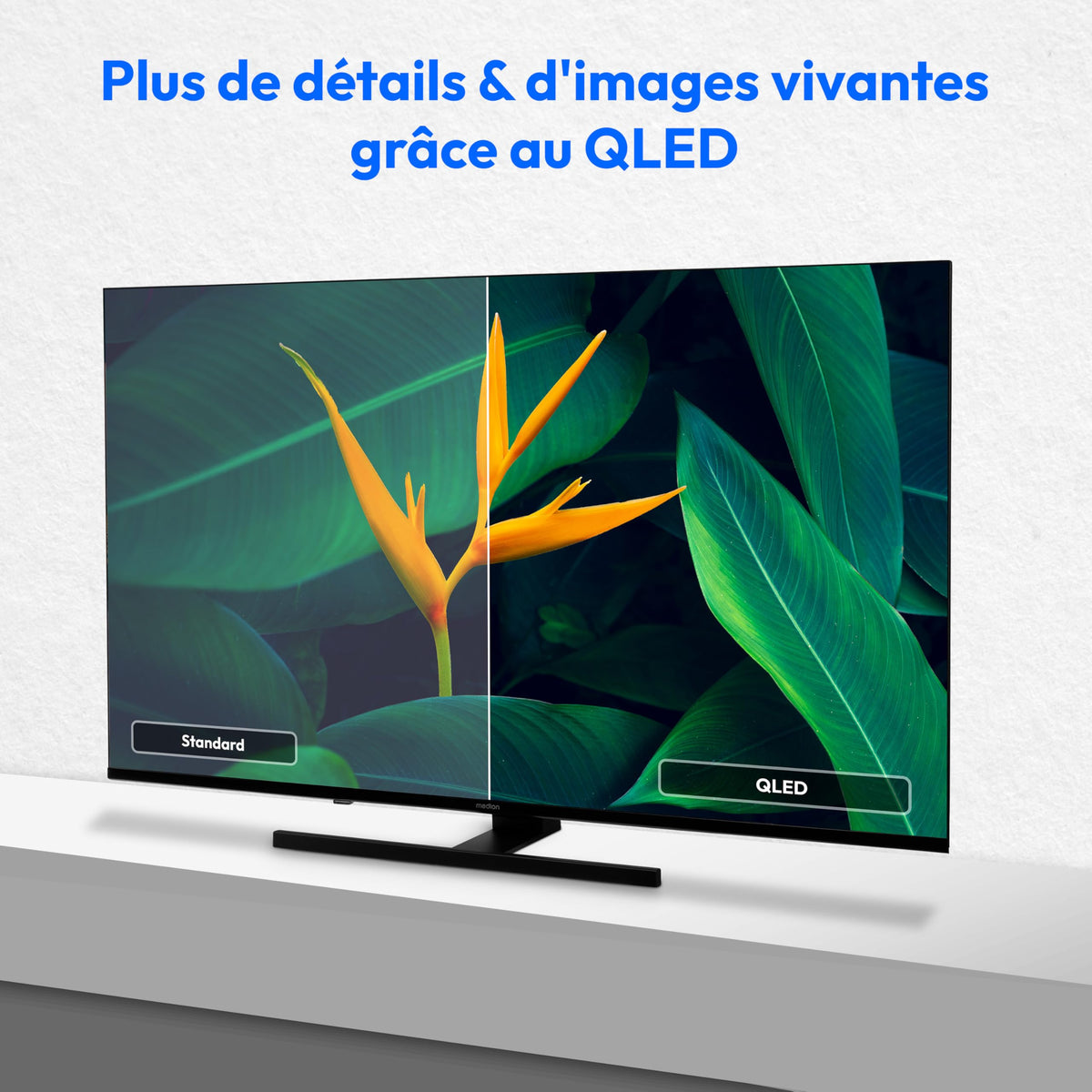 MEDION TV 50 Pouces 4K (125,7 cm) QLED Television (Smart TV 4K, Dolby Vision HDR, VIDAA Store, Prime Video, Disney+, DAZN, Paramount+, DTS X, Dolby Atmos, PVR, Bluetooth, MD 850600)