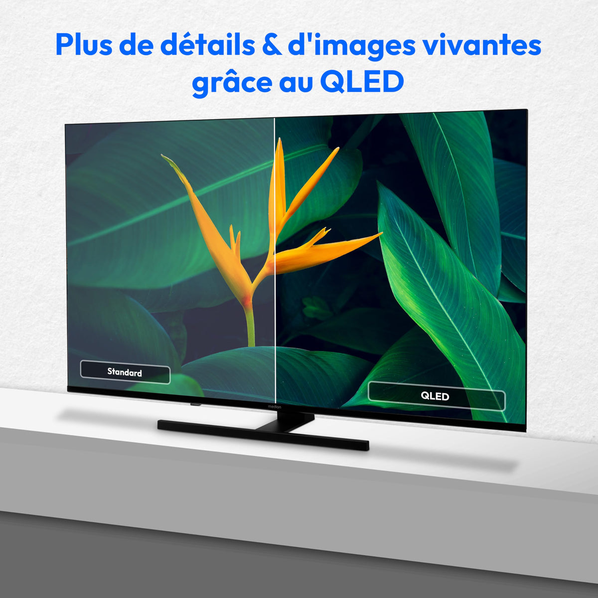 MEDION TV 50 Pouces (125,7 cm) QLED Television (Smart TV, 4K, Dolby Vision HDR, Prime Video, Disney+, Dolby Atmos, DTS X, Compatible avec Google TV, PVR, Bluetooth, MD 850700)